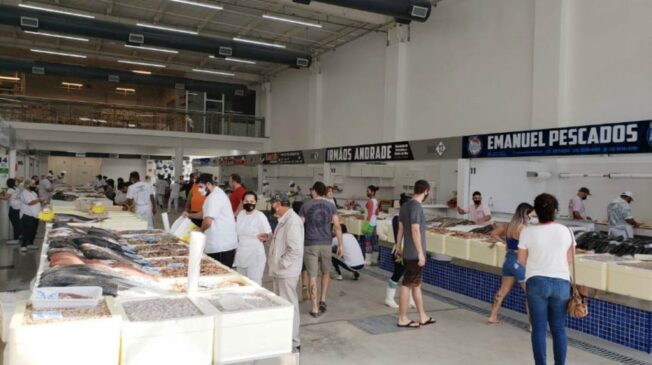 Festival da Sardinha trará para o consumidor o quilo do peixe campeão de recomendações médicas por apenas R o quilo, no Mercado de Peixes