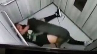 Pitbull atacou a dona por vários minutos até que ela conseguiu chegar até o térreo do prédio onde mora