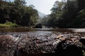 O levantamento incluirá não apenas as nascentes da parte insular, como, em uma segunda fase, as da Área Continental do Município