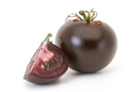 Uma variedade de tomate com coloração inteiramente roxa, cujo DNA foi modificado para produzir altos teores de substâncias antioxidantes, está na reta final do processo de aprovação para uso comercial nos EUA