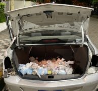 Idoso é preso em flagrante ao transportar mais de 15 mil porções de drogas em Cubatão