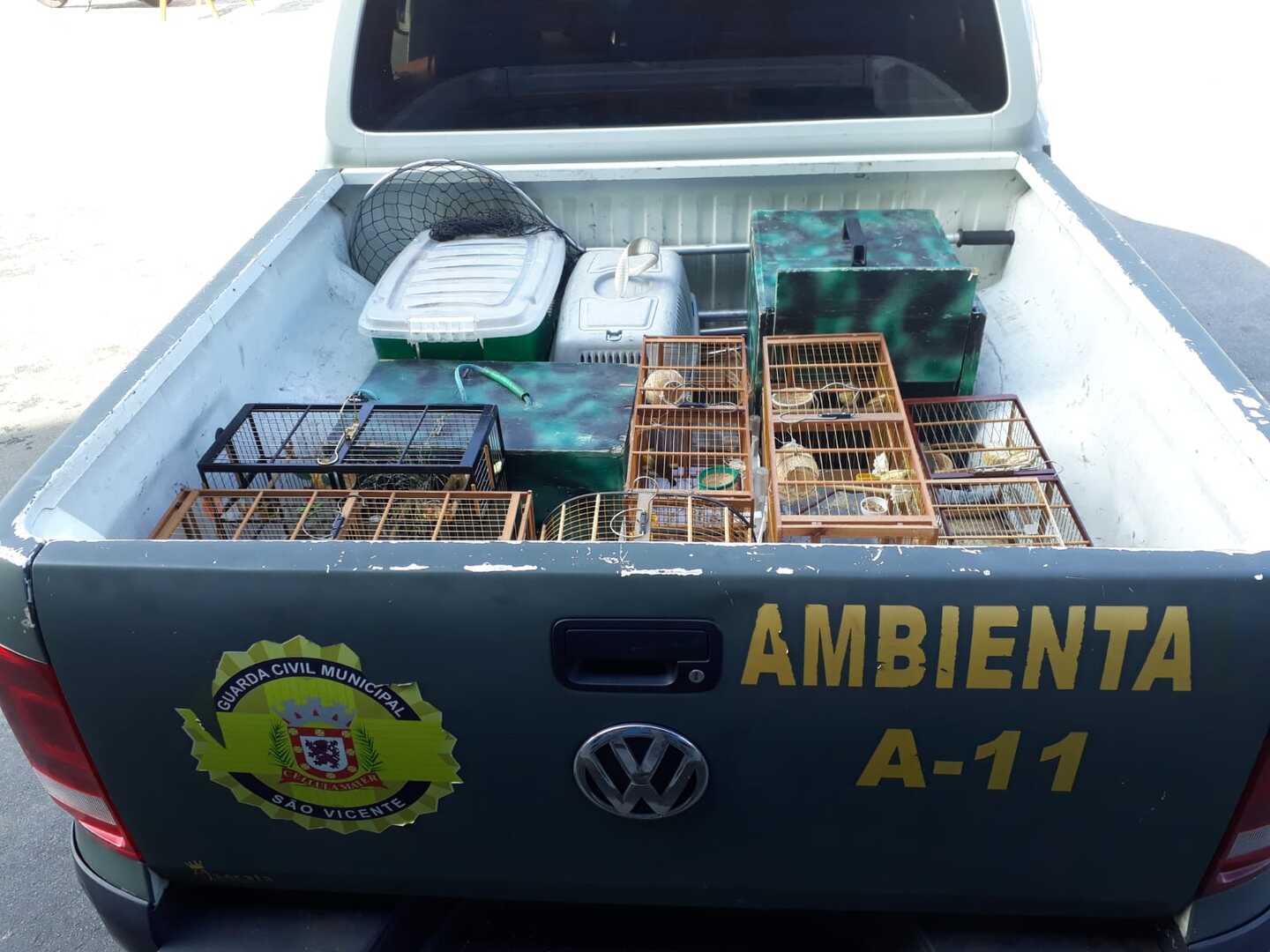 As aves foram avaliadas no Centro de Pesquisa e Triagem de Animais Selvagens (CEPTAS), em Cubatão, onde permaneceram dois pássaros para reabilitação