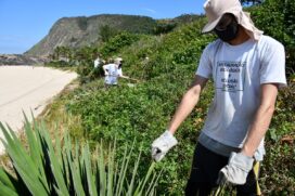 Niterói também iniciou um projeto de restauração de áreas verdes