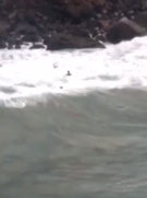 Jovem de 15 anos é resgatado após surfar e ser levado por correnteza em praia de Ubatuba