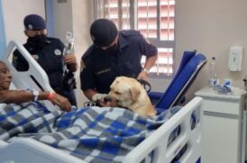 GCMs de Santos acompanharam a corporação paulista em ação no Hospital do Servidor Público Municipal de São Paulo
