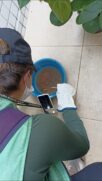 Mutirão elimina 61 focos com larvas de mosquito em dois bairros de Santos (1)