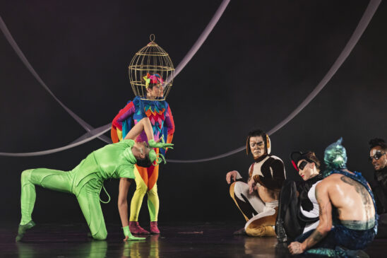 Bichos Dançantes tem única apresentação em Santos, dia 21 de maio, no Teatro Municipal