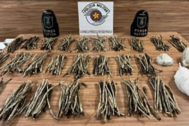 PM apreende 4,6 kg de drogas no Morro São Bento, em Santos