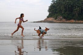 Santos foi eleita uma das melhores cidades brasileiras para se viajar com pets