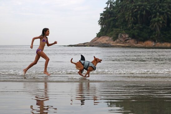 Santos foi eleita uma das melhores cidades brasileiras para se viajar com pets
