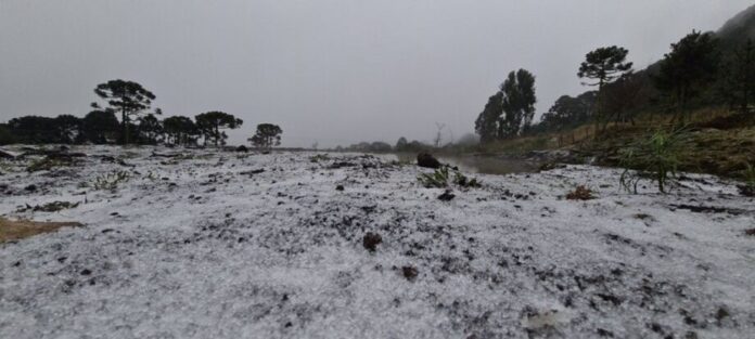 Neve em São Joaquim (SC) em 2021