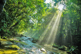 Uma das mais visitadas, a Trilha do Guaratuba é cercada por riachos, poços, cascata e praias naturais