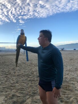 Arara foge de gavião e pousa em rede de futevôlei no Gonzaga; assista