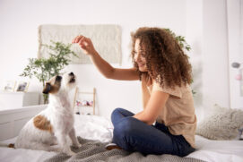Diante de qualquer comportamento ou indício de desconforto ou de que ele não está bem, a recomendação é procurar um veterinário
