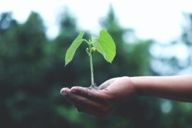 A responsabilidade pelo meio ambiente não deve recair somente sobre empresas e governos