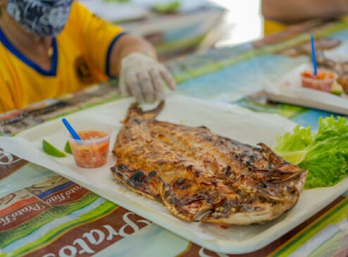 Festa da Tainha Bertioga