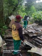 Força-tarefa desmonta moradias irregulares em área de preservação ambiental em Santos