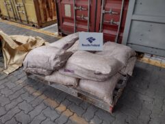 Ação da Receita Federal e da PF termina com 498 kg de cocaína apreendidas no Porto de Santos