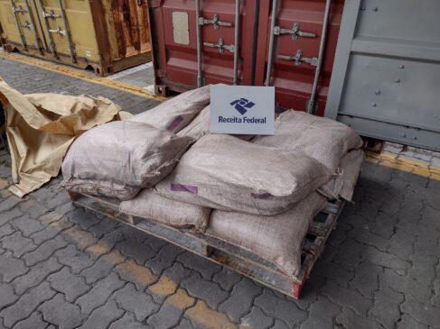 Ação da Receita Federal e da PF termina com 498 kg de cocaína apreendidas no Porto de Santos