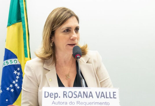 De acordo com Valle, ela deverá assumir o novo cargo ainda durante a primeira semana de maio