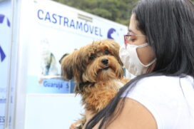 Castramóvel abre inscrições para cirurgia em cães e gatos