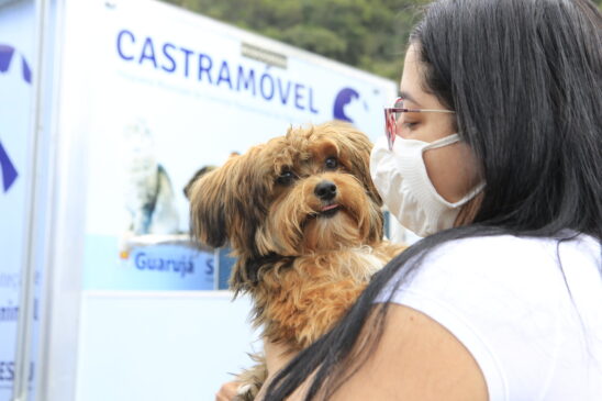 Castramóvel abre inscrições para cirurgia em cães e gatos