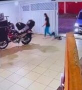 Homem é preso após espancar cachorro e manter uma mulher em cárcere privado em Praia Grande