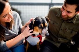 Tutores poderão consumir em espaço especial na praça de alimentação aproveitando a companhia dos pets