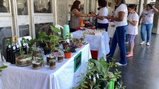 Feira Criativa é relacionada à arte, artesanato e gastronomia artesanal, produzidos por empreendedores da cidade