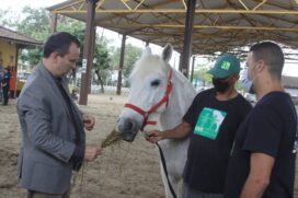 Equoterapia