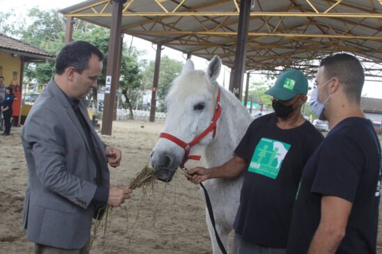 Equoterapia