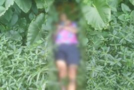 Em julho, um corpo foi encontrado em manguezal no Guarujá