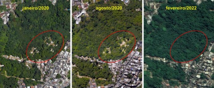 Imagens de satélite mostram três momentos da recuperação de vegetação no Morro do Saboó