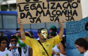 Segundo a Fiocruz, 7,7% dos brasileiros de 12 a 65 anos já usaram maconha ao menos uma vez na vida