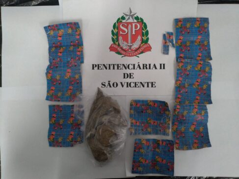 Mulher portava 97 gramas de maconha e 983 pontos da droga sintética LSD