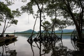 Evento acontece em parceria com a União Internacional para a Conservação da Natureza (IUCN) e Governos Locais para a Sustentabilidade (ICLEI); inscrições estão abertas