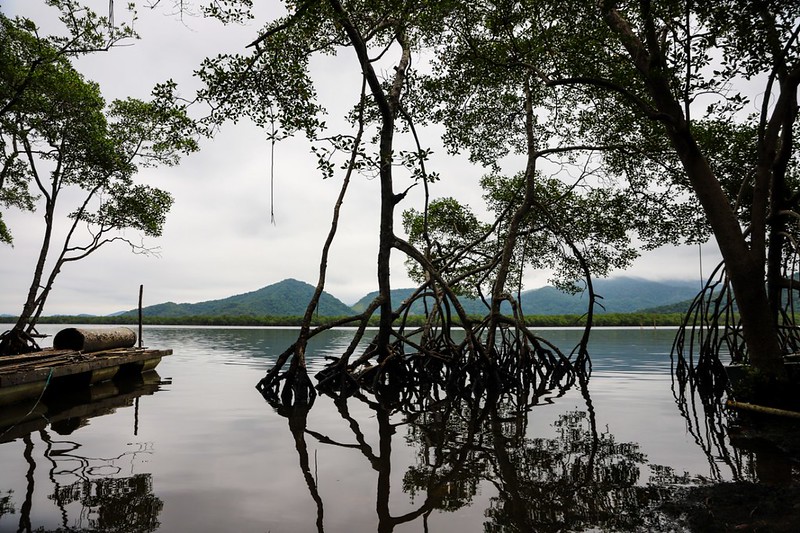 Evento acontece em parceria com a União Internacional para a Conservação da Natureza (IUCN) e Governos Locais para a Sustentabilidade (ICLEI); inscrições estão abertas