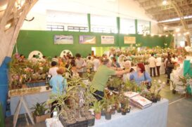 Exposição de Orquídeas AOG