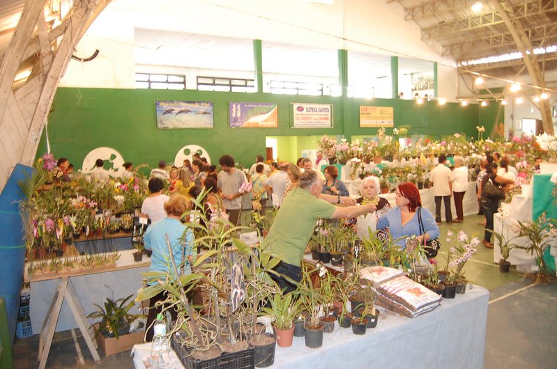 Exposição de Orquídeas AOG