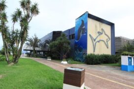 Grande parte das atividades prevê a participação dos visitantes