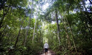 Com as intervenções humanas como principal causa, o Brasil ocupa a 4ª posição no ranking mundial de emissão de gases poluentes desde 1850