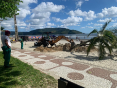 Coqueiros no canal 5 serão transferidos para a Praia do José Menino.
