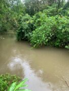Corpo foi encontrado em rio às margens de rodovia