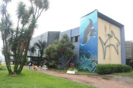 As atividades incluem oficinas, jogos, palestras, atividades na praia e visitas noturnas monitoradas