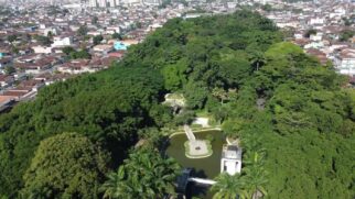 A maior parte das ações são presenciais e envolvem desde exercícios físicos à conservação ambiental e iniciativas solidárias, para todas as idades