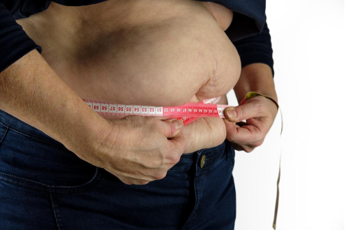 Segundo a Organização Pan-Americana de Saúde (PAHO), mais de 1 bilhão de pessoas no mundo são obesas
