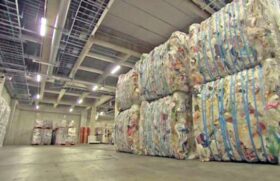 Escola santista colabora para um ambiente mais saudável, chegando a reciclar 97% do seu lixo