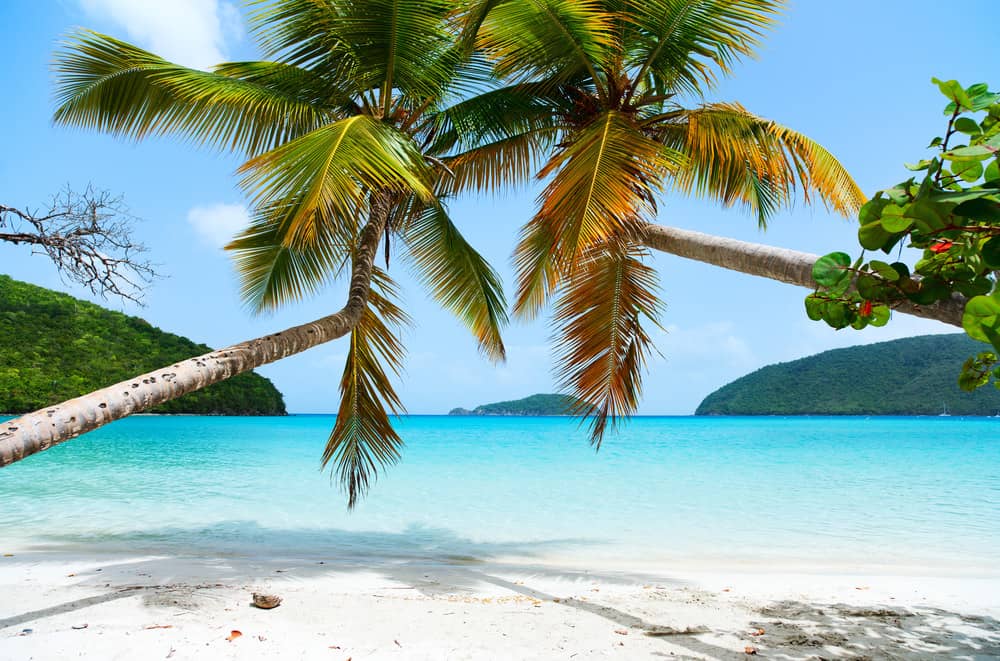 Maho Bay Beach - Cruz Bay, St. John (Reprodução)