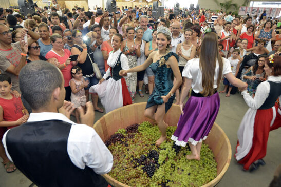 Cerimônia de pisa das uvas na Festa da Uva de Jundiaí