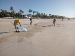 430 trabalhadores atuaram com rastelagem manual na faixa de areia e varrição dos calçadões; e na coleta de resíduos
